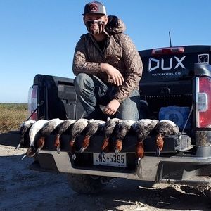 Meet your Posher, Cole